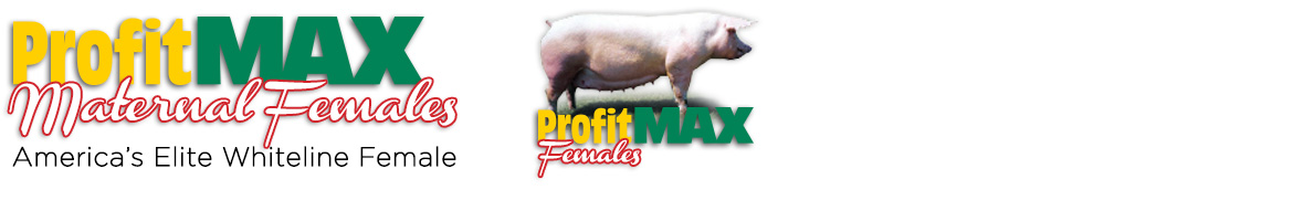 profit-max-females3