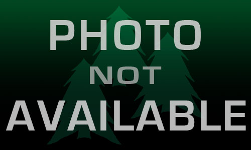 Boar Image Place Holder